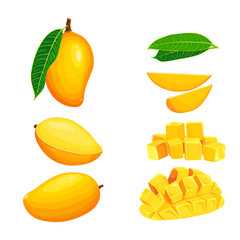 set of Mango