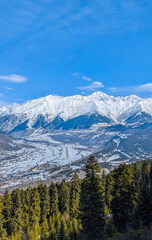 Snowy forest with mountain views of Svaneti, Mestia