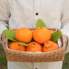 Woman holding a box full of oranges in her hands