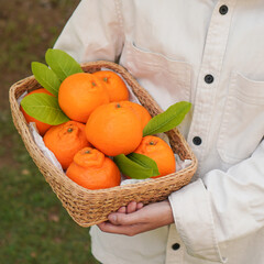 Woman holding a box full of oranges in her hands