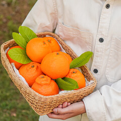 Woman holding a box full of oranges in her hands
