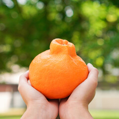 Woman holding an orange in her hand