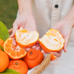 Cut part of orange fruit in human hands