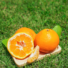 Close up of fresh mandarins on wooden plate