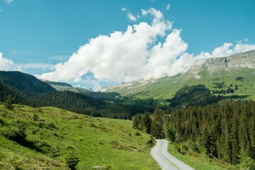 Fototapeta na wymiar Path in the Swiss mountains under a blue sky in summer in Flims, Grisons