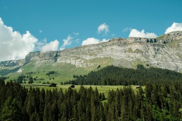 Beautiful view of the Swiss mountains under a blue sky in summer in Flims town, Grisons