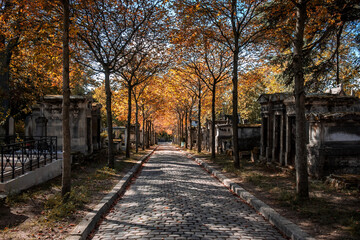Paris, France, Oct 2022, view of an alley in the Père Lachaise cemetery  - 583951572