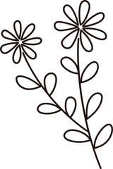 
black line style flowers