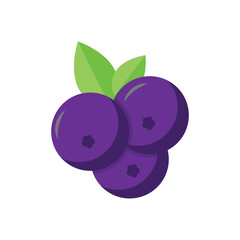 blueberry icon design vector