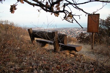 Bench in park surrounded by fallen autumn leaves