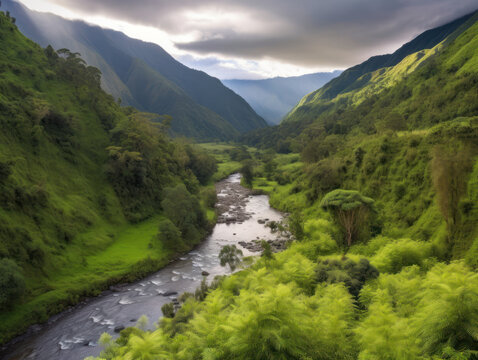 a flowing river in a lush green valley