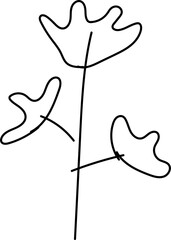 Hand drawn flora illustration, Transparent background