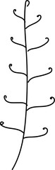 Hand drawn flora illustration, Transparent background