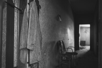 a scary abandoned house with cracks in the wall and plants growing in the windows.