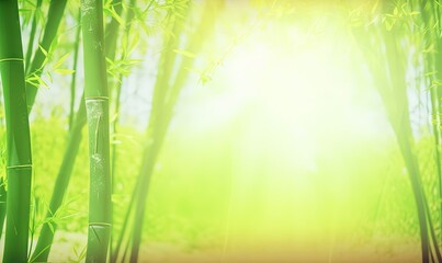 Fototapeta na wymiar a bamboo forest with the sun shining through the bamboo stalks. generative ai