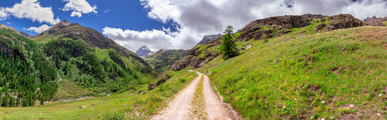 Vista panoramica sul sentiero per la Granta Parey tra fiori, montagne, prati e pascoli. Alpi...