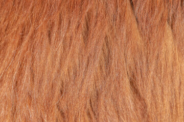 Background from the fur of a fluffy, redhead dog