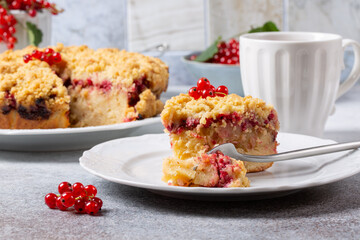 Homemade cake with berries on gray background. Yogurt pie with fresh red currant.