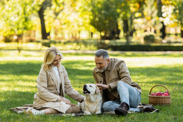 happy bearded man petting labrador near blonde wife during picnic in park.