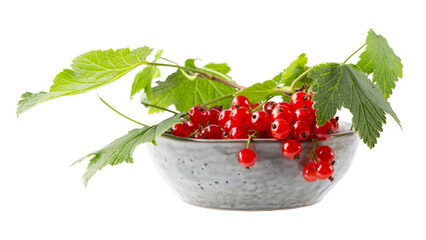 Fresh ripe red currant berries with leaves in gray bowl isolated.