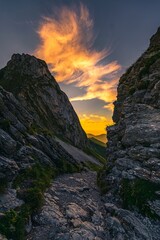 Scenic landscape in summer mountains