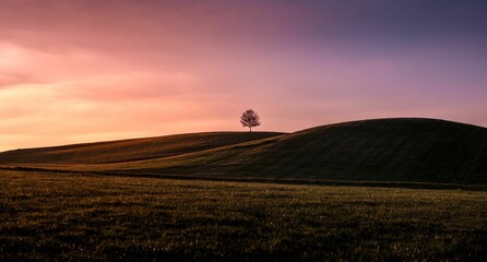 Obraz premium Scenic shot of a tree on top of hills in a field during dusk