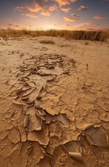 Vertical view of the dry cracked clay desert and desert grass under the cloudy sky