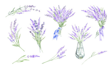 Fototapeta na wymiar Hand drawn watercolor lavender clipart. Lavender flowers, lavender tincture, lavender oil, lavender beeches. Purple flowers, clipart for planner, sticker pack, scrapbooking, holiday cards.