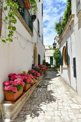 Fototapeta na wymiar The old town of Otranto, Italy.