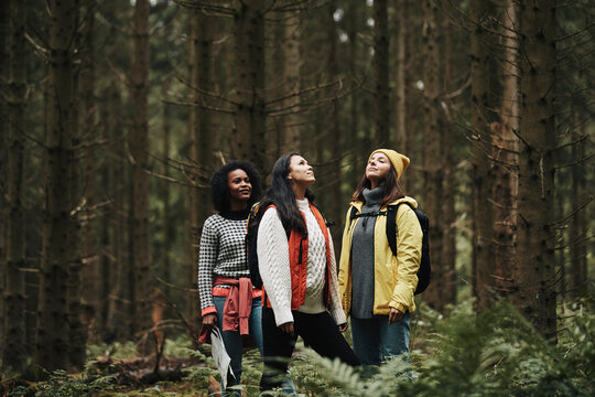 Women admiring nature while hiking