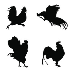 silhouettes of chicken