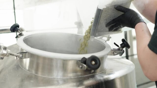 sprinkling of hop granules into the brewhouse during beer brewing in the brewery