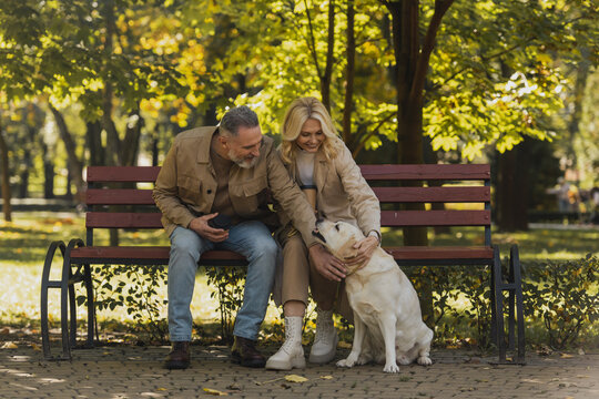 Cheerful mature couple with takeaway coffee petting labrador while sitting on bench in park.