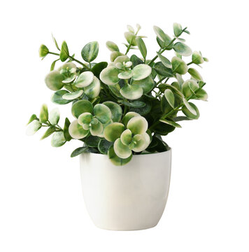Green and white artificial plant with small leaves in a plastic pot isolated on white or transparent background