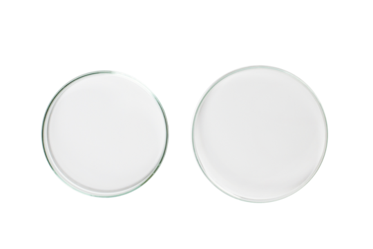 Two Petri dishes empty from glass isolated. PNG.