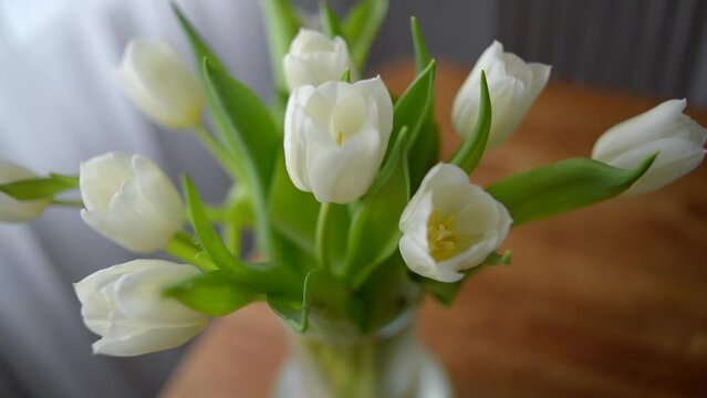 Flowers in a glass vase. White tulips on the table