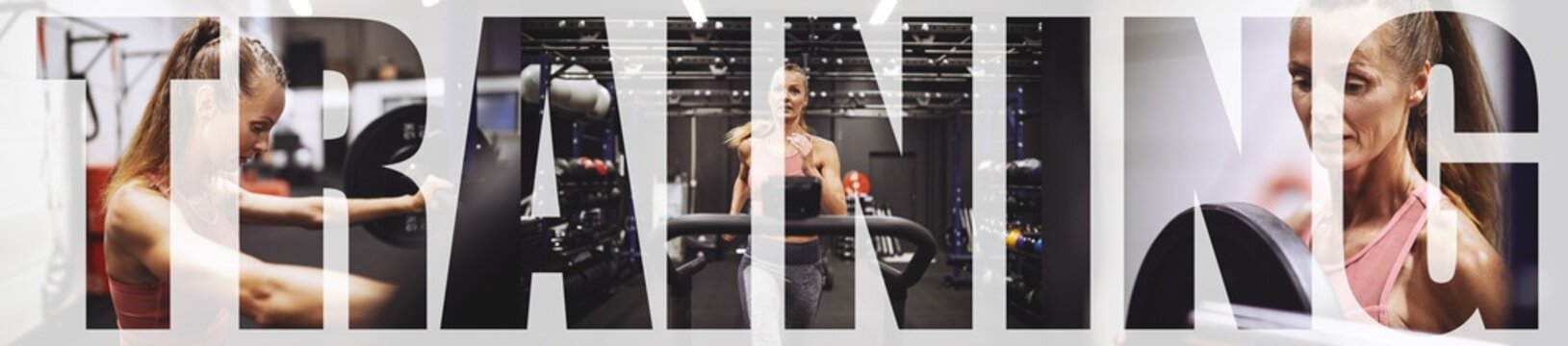 Fit young woman working out at the gym