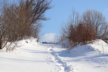 Fototapeta na wymiar Snowy sunny field-trip