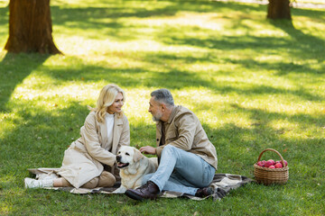 happy middle aged couple looking at each other while petting labrador during picnic in park.