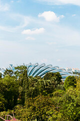 Fototapeta premium Singapore glasshouse