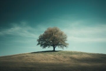  a lone tree sitting on top of a hill under a blue sky.  generative ai