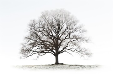  a tree with no leaves on a snowy hill in winter.  generative ai