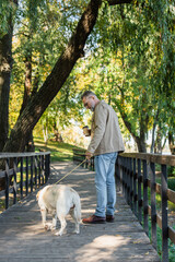 Side view of positive man in sunglasses holding coffee to go near labrador on bridge in park.