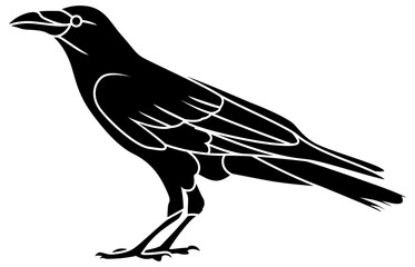 black crow