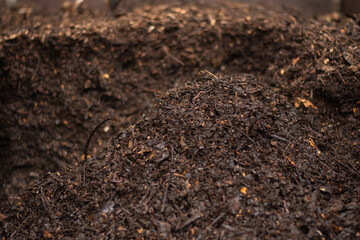 mature compost ready to use in garden produced in a community composter. Concept of recycling and sustainability