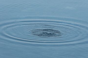 world water day, splash, reflex, spiral, lake