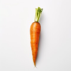 carrot