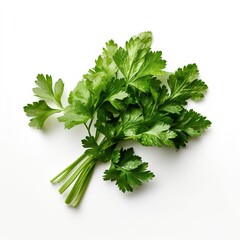 bunch of parsley isolated on white background