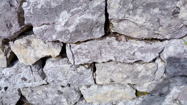 A stone wall among nature
