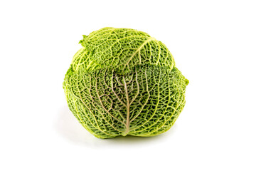 Fototapeta premium A grown head of Savoy cabbage on a white background